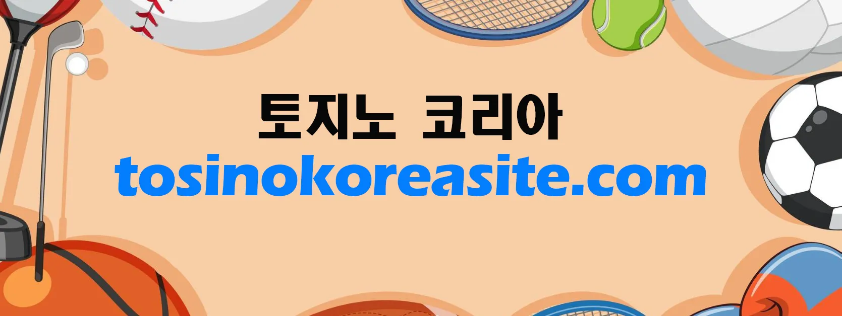 tosinokoreasite.com 소개 이미지